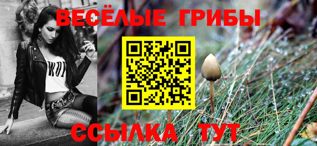 Псилоцибиновые грибы MAGIC MUSHROOMS Глазов
