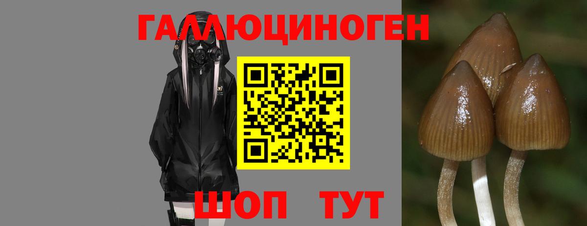 Псилоцибиновые грибы MAGIC MUSHROOMS  Вход с VPN  где найти наркотики  Глазов 